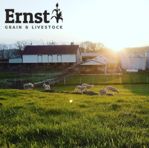 Ernst Grain & Livestock MD Pig