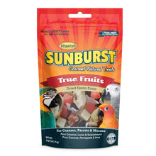 Load image into Gallery viewer, Higgins Sunburst Gourmet Natural True Fruits Bird Treats