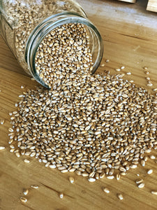 Ernst Grain Soft Red Wheat, Non-GMO