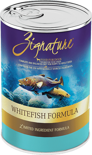 Zignature Whitefish Canned Dog Food Formula