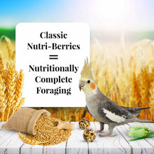 Load image into Gallery viewer, Lafeber&#39;s Classic Nutri-Berries for Cockatiels Bird Food