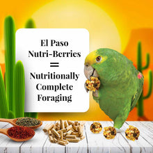 Load image into Gallery viewer, Lafeber&#39;s El Paso Nutri-Berries for Parrots Bird Food