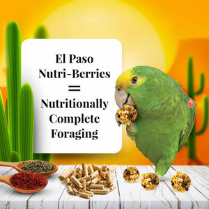 Lafeber's El Paso Nutri-Berries for Parrots Bird Food
