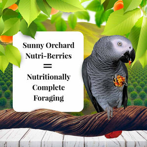 Lafeber's Sunny Orchard Nutri-Berries for Parrots Bird Food