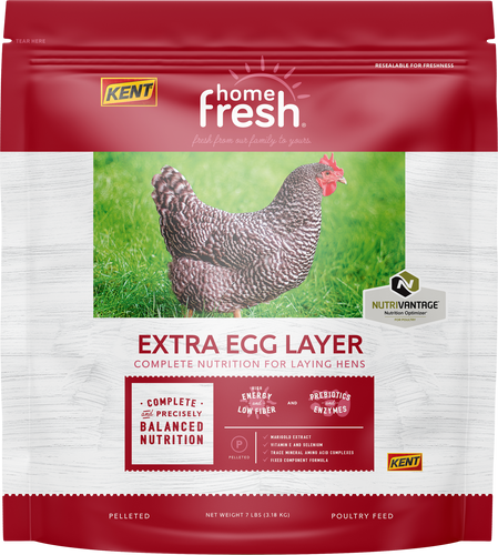 Home Fresh Extra Egg Layer Poultry Feed