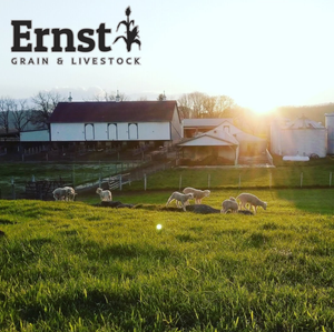 Ernst Grain Soft Red Wheat, Non-GMO