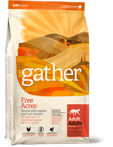 gather FREE ACRES Recipe Dry Cat Food