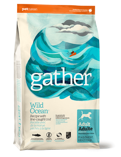 gather WILD OCEAN Recipe Dry Dog Food